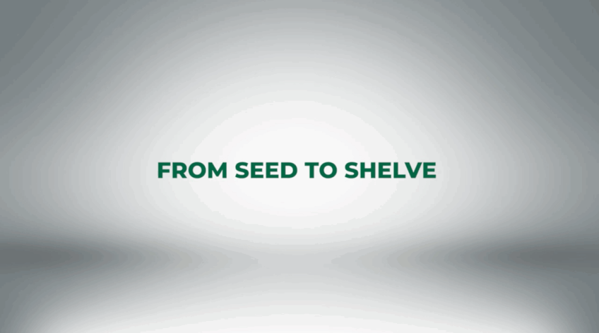 Three years on, Salamatu is no longer just a farmer, she is a leader. She heads a women’s farming group, earning a steady income and inspiring others to dream bigger.