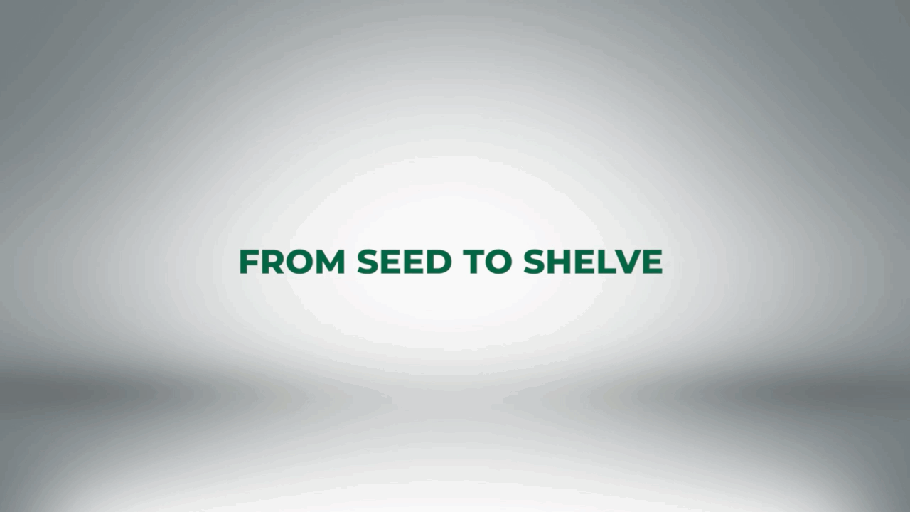 The Amaati Story, a story of resilience, a desire to see women in Northern Ghana economically empowered to own their lives and take better care of their children. Listen to how a small grain called #Fonio is changing lives…This is the #Amaati story!